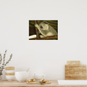 Australien, Queensland, Brisbane. Abb. Tree Poster (Küche)