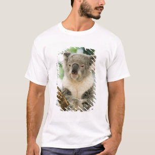 Australien, Queensland, Brisbane, Feigenbaum T-Shirt