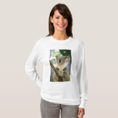 Australien, Queensland, Brisbane, Fig Tree T-Shirt (Vorne ganz)