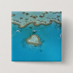 Australien, Queensland, Die Whitsunday-Inseln, Button