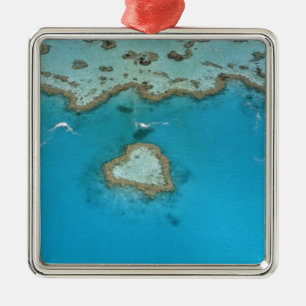 Australien, Queensland, Die Whitsunday-Inseln, Silbernes Ornament