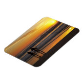 Australien, Queensland, Goldküste, Surfer bei Magnet (Linke Seite)