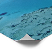 Australien, Queensland. Great Barrier Reef Poster (Ecke)