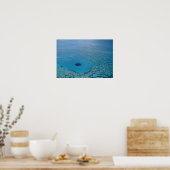 Australien, Queensland. Great Barrier Reef Poster (Küche)