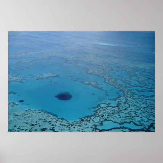 Australien, Queensland. Great Barrier Reef Poster (Vorne)