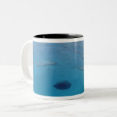 Australien, Queensland. Great Barrier Reef Zweifarbige Tasse (Vorderseite Links)