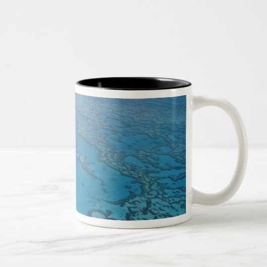 Australien, Queensland. Great Barrier Reef Zweifarbige Tasse (Rechts)