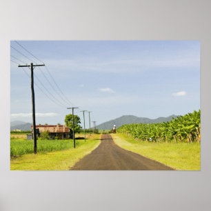 Australien, Queensland, Nordküste, Babinda. Poster