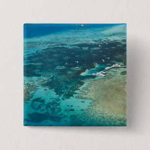 Australien, Queensland, Nordküste, Cairns Button