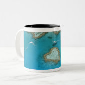 Australien, Queensland, The Whitsunday Islands, Zweifarbige Tasse (Vorderseite Links)