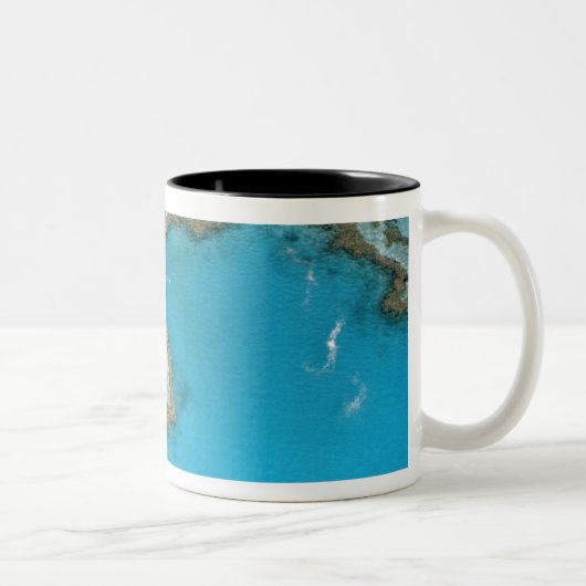 Australien, Queensland, The Whitsunday Islands, Zweifarbige Tasse (Rechts)
