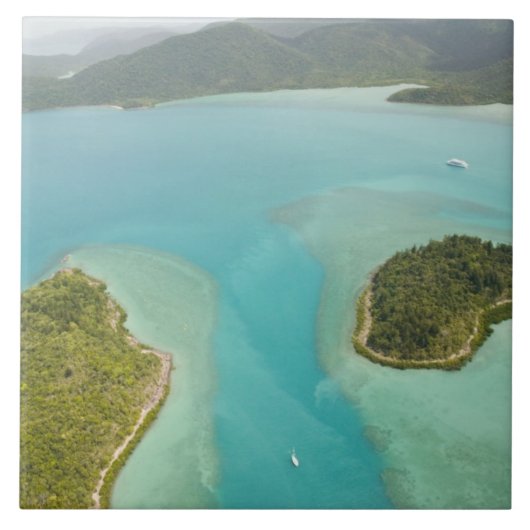Australien, Queensland, Whitsunday Coast, Fliese (Vorderseite)