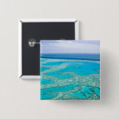 Australien, Queensland, Whitsunday Coast, Great 3 Button (Vorne & Hinten)