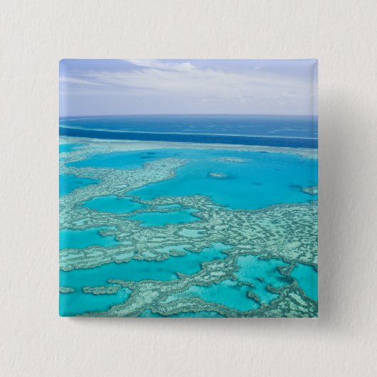 Australien, Queensland, Whitsunday Coast, Great 3 Button (Vorderseite)