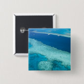Australien, Queensland, Whitsunday Coast, Great 5 Button (Vorne & Hinten)