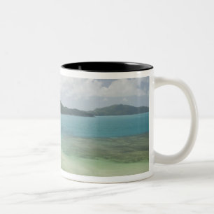 Australien, Queensland, Whitsunday-Küste, 3 Zweifarbige Tasse