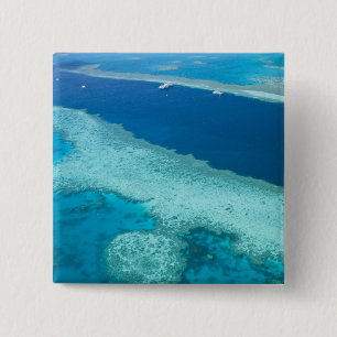 Australien, Queensland, Whitsunday-Küste, Great 5 Button