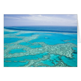 Australien, Queensland, Whitsunday-Küste, Groß 3