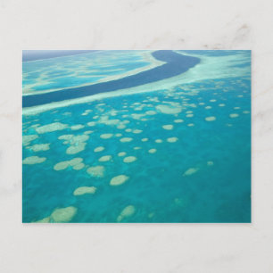 Australien, Queensland, Whitsunday-Küste, Groß 4 Postkarte