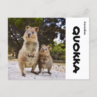 Australien Quokka Postkarte