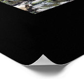 AUSTRALIEN RAINFOREST POSTER (Ecke)