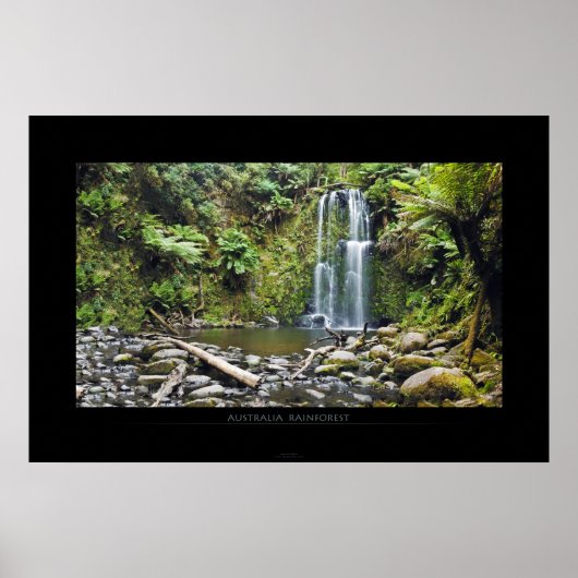 AUSTRALIEN RAINFOREST POSTER (Vorne)