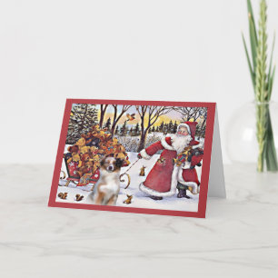 Australien Shepherd Christmas Card Santa Bears In Feiertagskarte