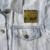 Australien, Südaustralien, Barossa-Tal, Button (Beispiel)
