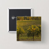 Australien, Südaustralien, Barossa-Tal, Button (Vorne & Hinten)