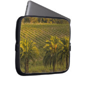 Australien, Südaustralien, Barossa-Tal, Laptopschutzhülle (Vorne Rechts)
