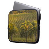 Australien, Südaustralien, Barossa-Tal, Laptopschutzhülle (Vorderseite Links)