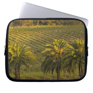 Australien, Südaustralien, Barossa Valley, Laptopschutzhülle
