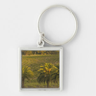 Australien, Südaustralien, Barossa Valley, Schlüsselanhänger