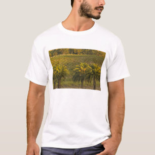 Australien, Südaustralien, Barossa Valley, T-Shirt