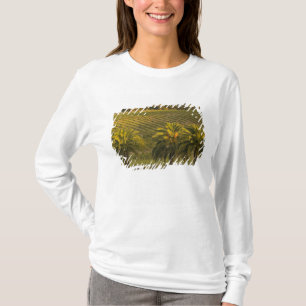 Australien, Südaustralien, Barossa Valley, T-Shirt
