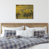 Australien, Südaustralien, Barossatal, Leinwanddruck (Insitu (Schlafzimmer))