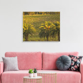 Australien, Südaustralien, Barossatal, Leinwanddruck (Insitu (Wohnzimmer))