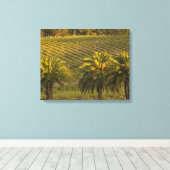 Australien, Südaustralien, Barossatal, Leinwanddruck (Insitu (Holzboden))