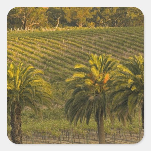 Australien, Südaustralien, Barossatal, Quadratischer Aufkleber (Vorderseite)