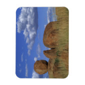 Australien, Teufel. Spherischer Sandstein Magnet (Vertikal)