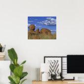 Australien, Teufel. Spherischer Sandstein Poster (Heimbüro)