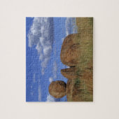 Australien, Teufelsbrocken. Spherischer Sandstein Puzzle (Vertikal)