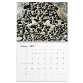 Australien Thailand Kambodscha Reisezeitplan Kalender (Feb 2027)