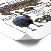 Australien Tierdiagramm Poster (Ecke)