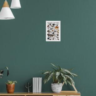 Australien Tierdiagramm Poster