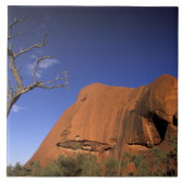 Australien, Uluru Kata Tjuta Nationalpark, Uluru Fliese (Vorderseite)