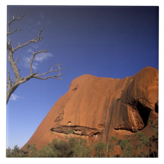 Australien, Uluru Kata Tjuta Nationalpark, Uluru Fliese (Vorderseite)