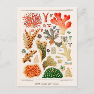 Australien Vintag Great Barrier Reef Coral Poster Postkarte
