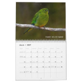 Australien Vögel 2022 Kalender (Mär 2027)