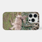 Australien Wallaby iPhone 15 Pro Hüllen Hülle (Rückseite (Horizontal))